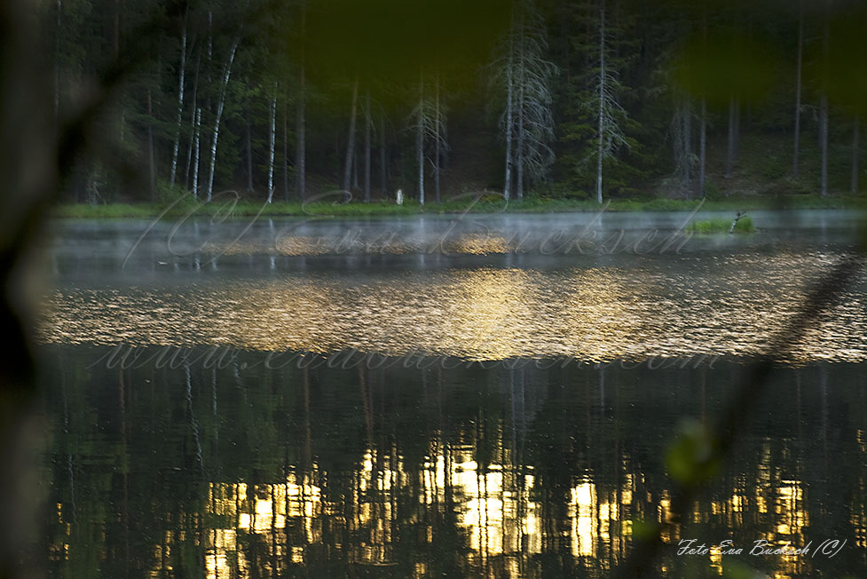 Foto av Eva Bucksch